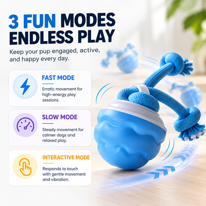 Motion Activated Rolling Dog Ball Toy with Rope