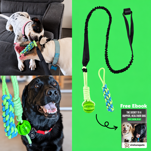 virelunepets™ Bungee Tug Toy