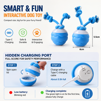 Motion Activated Rolling Dog Ball Toy with Rope