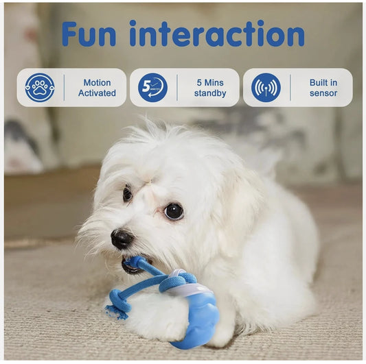 Motion Activated Rolling Dog Ball Toy with Rope
