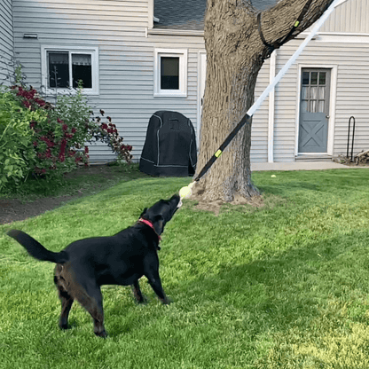 virelunepets™ Bungee Tug Toy