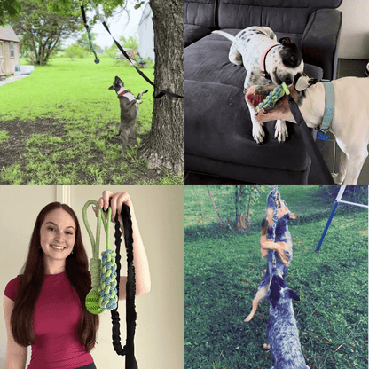virelunepets™ Bungee Tug Toy