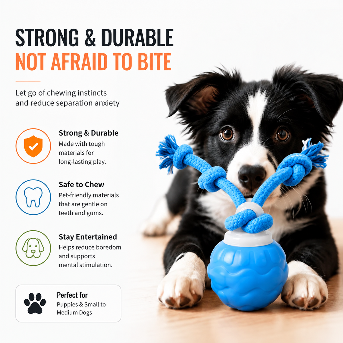 Motion Activated Rolling Dog Ball Toy with Rope