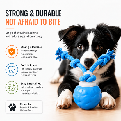 Motion Activated Rolling Dog Ball Toy with Rope