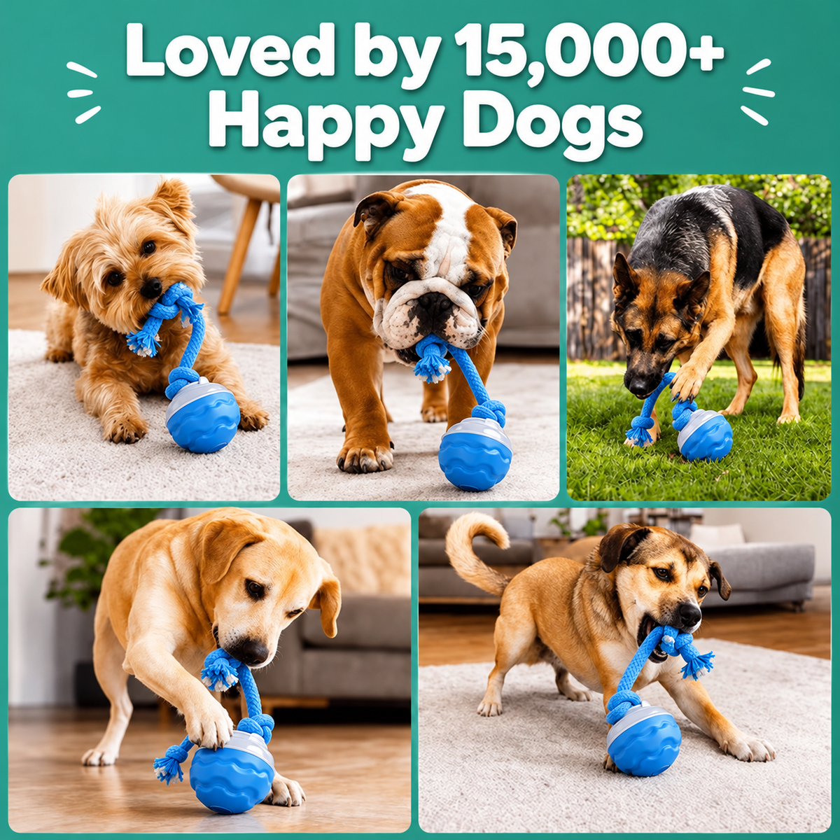 Motion Activated Rolling Dog Ball Toy with Rope