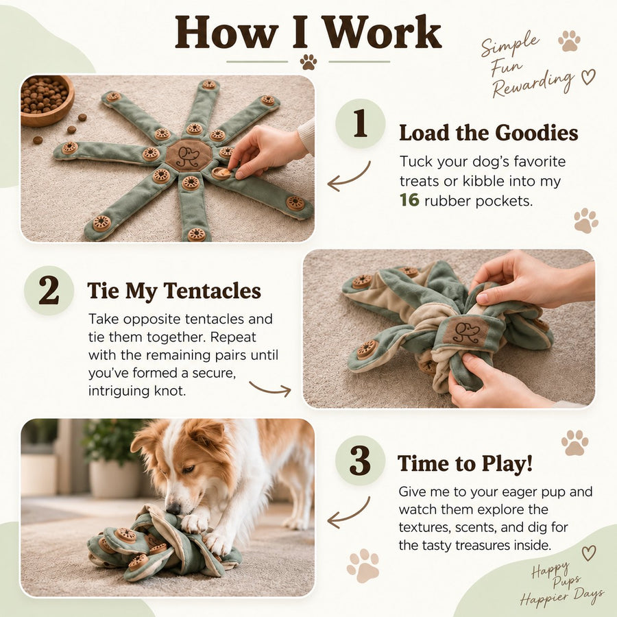 Illustrated steps to load treats, loosely tie the toy, and play