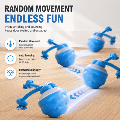 Motion Activated Rolling Dog Ball Toy with Rope
