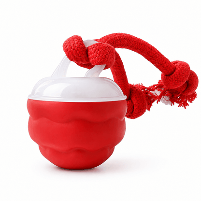 Motion Activated Rolling Dog Ball Toy with Rope