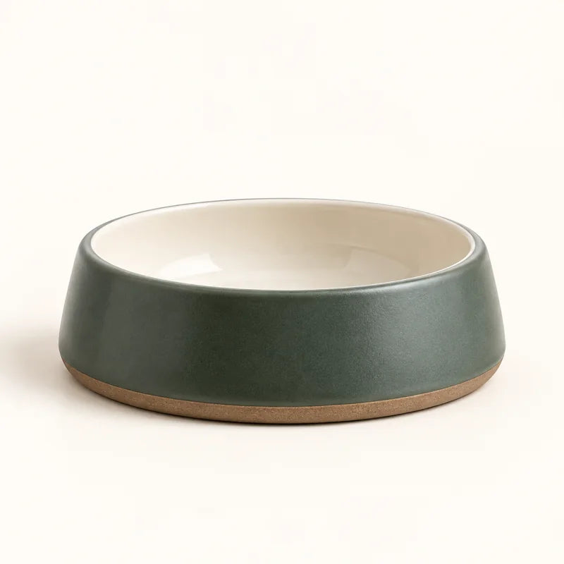 Daily Bowl
